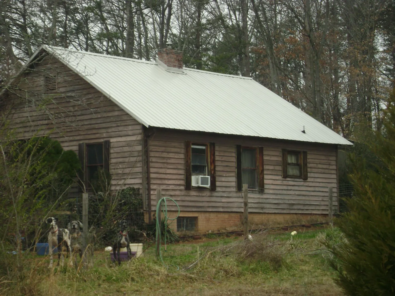 White metal roof on an old wood sided farmhouse, from a Asphalt Shingle Roof Repair job in Laguna